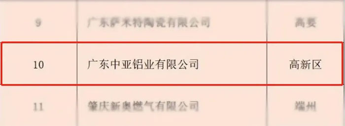 广东中亚铝业-3.jpg
